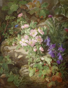 Stort stilleben med alpine blomster